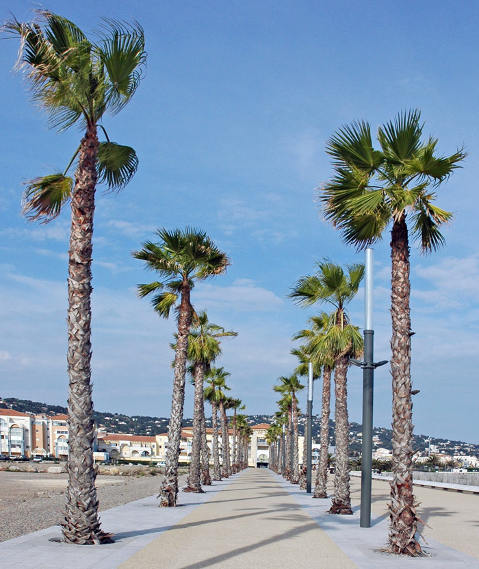 sete1 (10).JPG